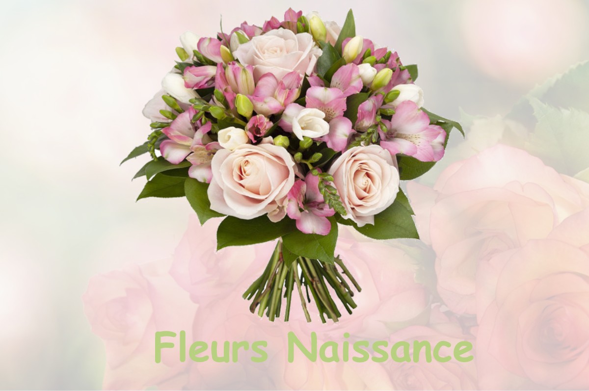 fleurs naissance VILLARD-RECULAS