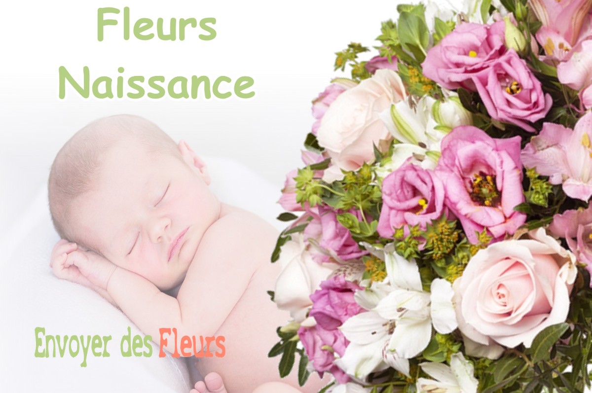 lIVRAISON FLEURS NAISSANCE à VILLARD-RECULAS