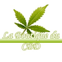 LA BOUTIQUE DU CBD VILLARD-RECULAS 